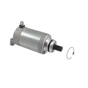 Zlevněný Startér motoru RMS 246390710