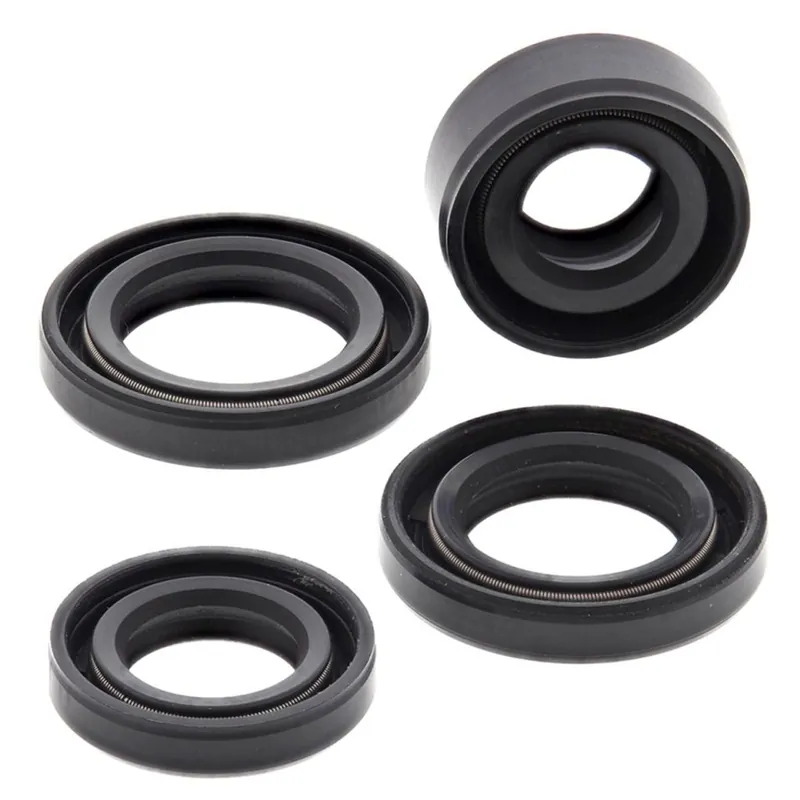 Sada gufer motoru WINDEROSA 822212 Top Prodej
